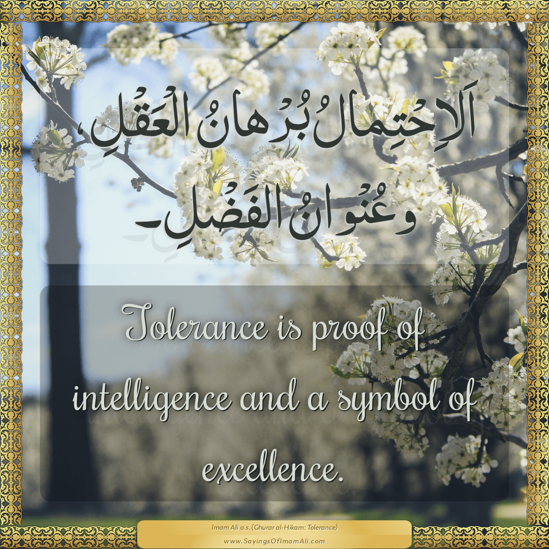 Tolerance is proof of intelligence and a symbol of excellence.